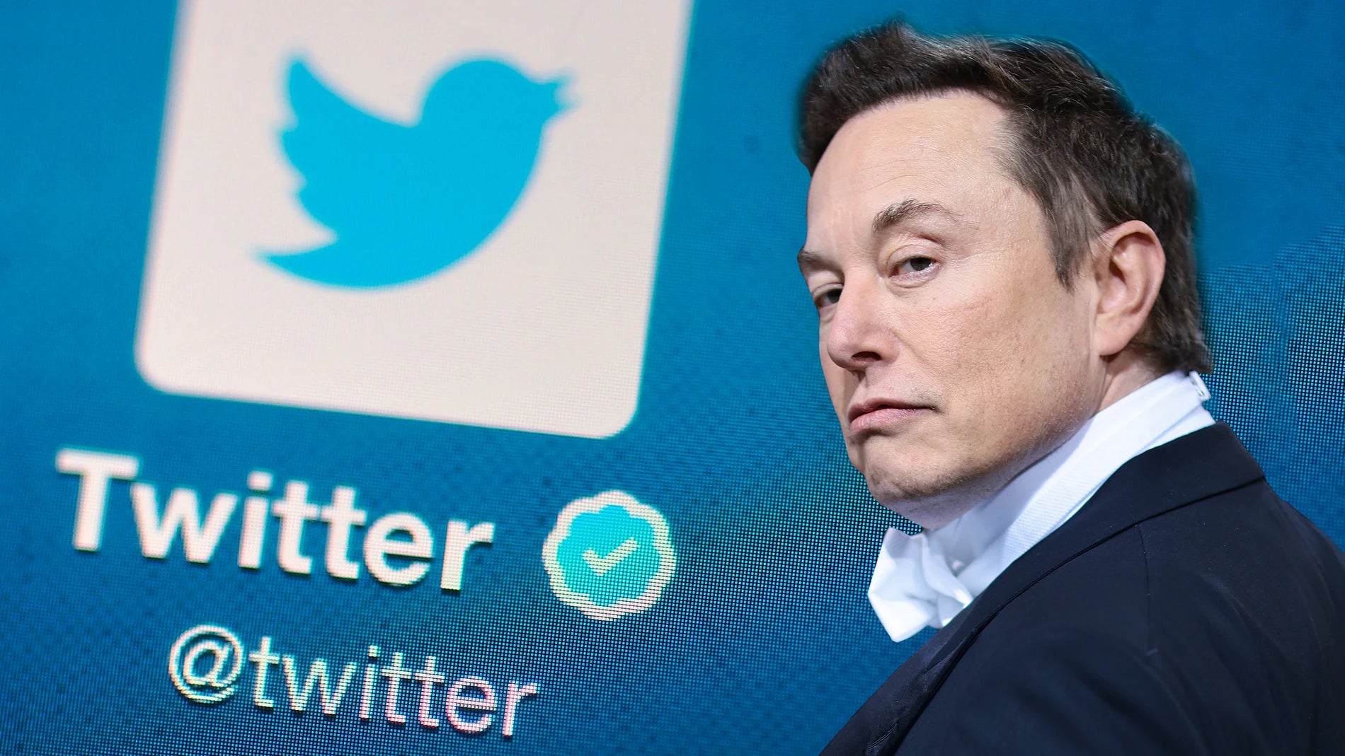 Elon Musk achète Twitter